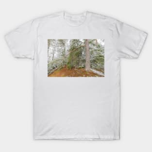 Beautiful serene winter forest landscape T-Shirt